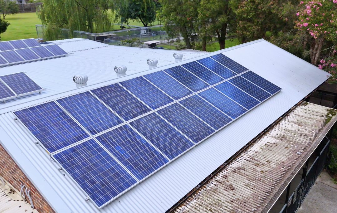 Screenshot 2026-02-19 at 12.28.36 pm