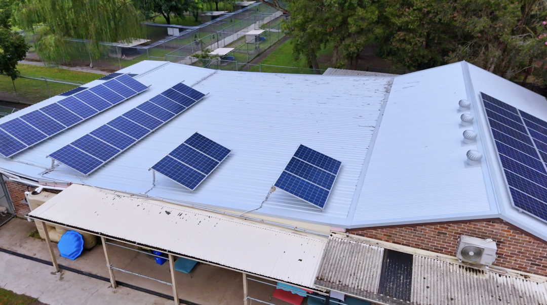 Screenshot 2026-02-19 at 12.35.02 pm